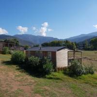 Mobile Home