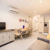 Comfort One-Bedroom Apartment (4 Adults) 