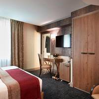 Large Deluxe Room