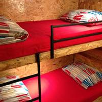 Bed in 2-Bed Female Dormitory Room without Window