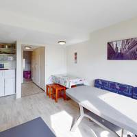 Comfort One-Bedroom Apartment (5 People)