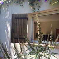 Apartment with Garden View