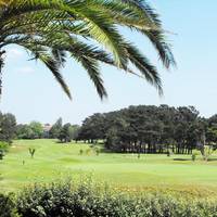 Studio with Golf View (2 Adults)