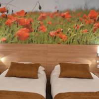 Double or Twin Room with Balcony