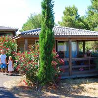 Cottage (4-6 adults)