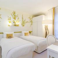 Deluxe Twin or Double Room