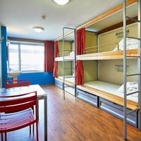 Bed in 6-Bed Dormitory Room
