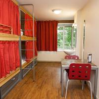 Bed in 4-Bed Female Dormitory Room with Shared Bathroom