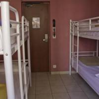 Bed in 4-Bed Mixed Dormitory Room
