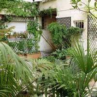 Apartment with Garden View