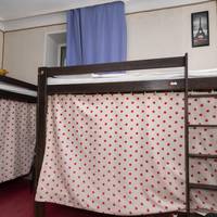 Bunk Bed in Mixed Dormitory Room