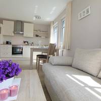 One-Bedroom Apartment with Terrace