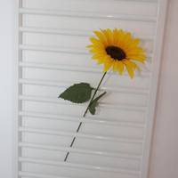 Studio Apartment with Terrace and Rain Dance Shower
