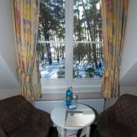 Double Room with Forest View