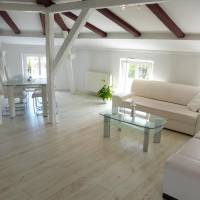 One-Bedroom Apartment with Terrace 1