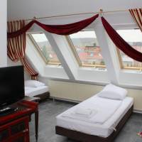 Suite (7 Adults)
