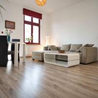 Large One-Bedroom Apartment