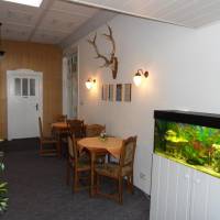 One-Bedroom Apartment (3 Adults)