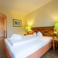 Comfort Single Room