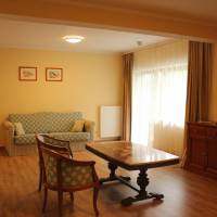Studio with Balcony or Terrace