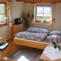 1 Room Apartment with view of the Walmberg Mountain