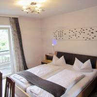 Double Room with Lake View and Balcony