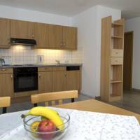 One-Bedroom Apartment (2 - 4 Adults)