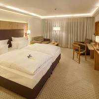 Superior Double Room with Mountain View