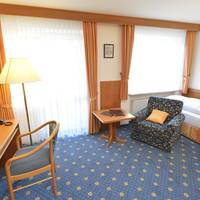 Single Room with Mountain View