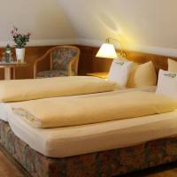 Basic Double Room