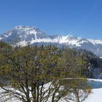 Double Room with Lake View
