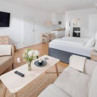 Large One Room Apartment