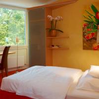 Comfort Single Room