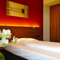 Business Single Room Frenchbed