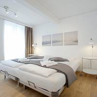 Superior One-Bedroom Apartment - Annex