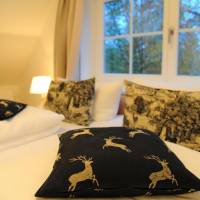 Deluxe Suite with shared terrace