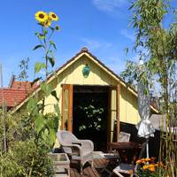 Studio with Terrace