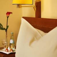 Single Room with Private Bathroom
