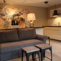 One-Bedroom Apartment with Balcony - Annex