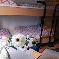Bed in 4-Bed Dormitory Room