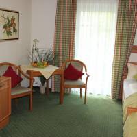 Twin Room with Balcony