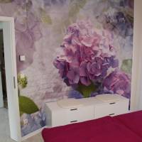 One-Bedroom Apartment - Ground Floor