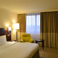 Larger Guest room, 1 Queen, High floor