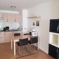 One-Bedroom Apartment (4-5 Adults)