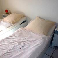 Double or Twin Room with Garden View