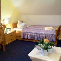 Standard Single Room - Public Transport Ticket Included