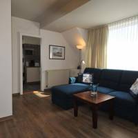 One-Bedroom Apartment 11