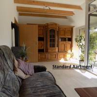 Standard One-Bedroom Apartment