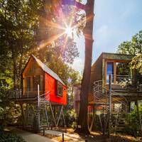 Tree House