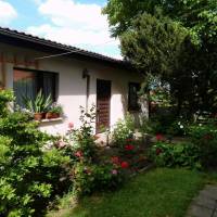 One-Bedroom Holiday Home